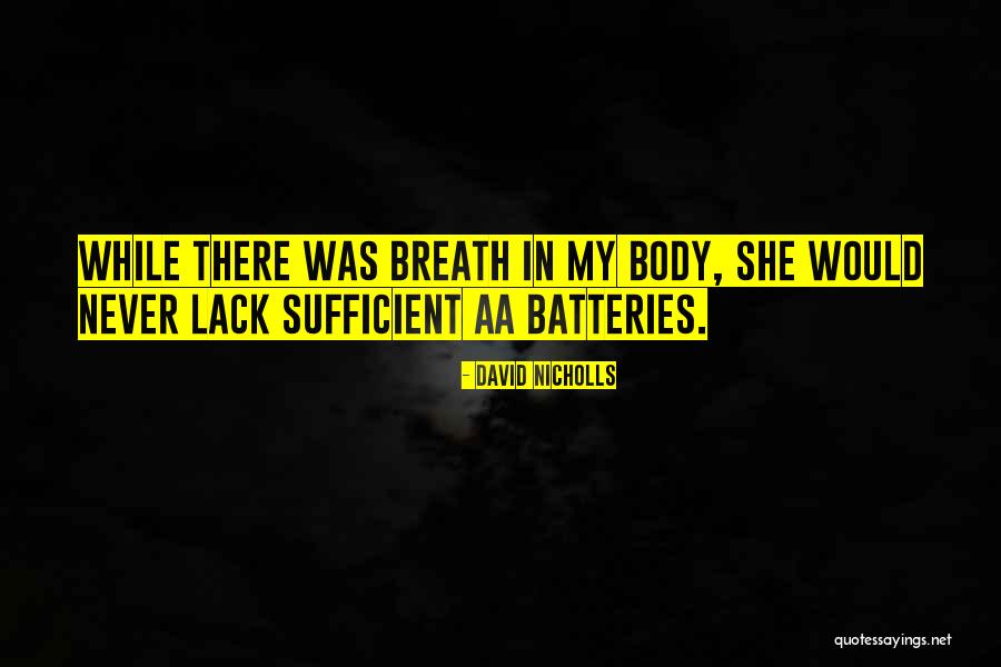 Neubarth Antiquit Ten Quotes By David Nicholls