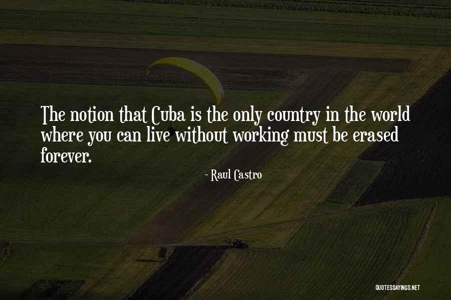 Neugarten Theory Quotes By Raul Castro Neugarten Theory Quotes By Raul Castro