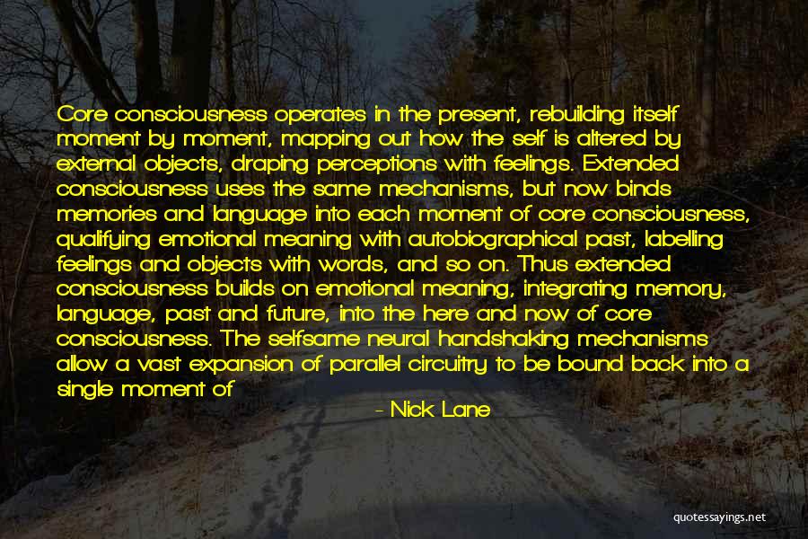 Neural Mechanisms Quotes By Nick Lane Neural Mechanisms Quotes By Nick Lane
