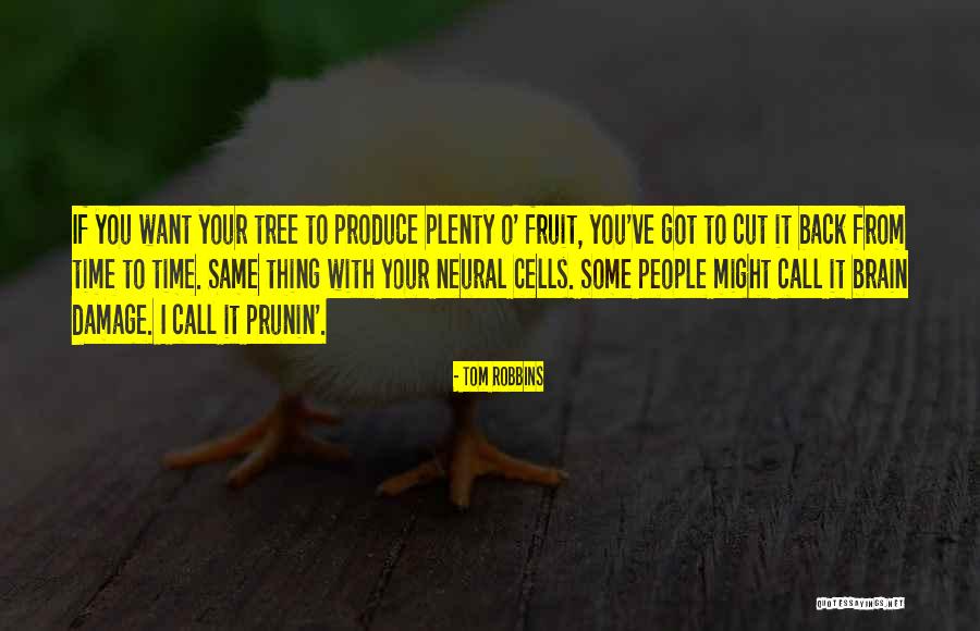 Neural Plasticity Quotes By Tom Robbins Neural Plasticity Quotes By Tom Robbins