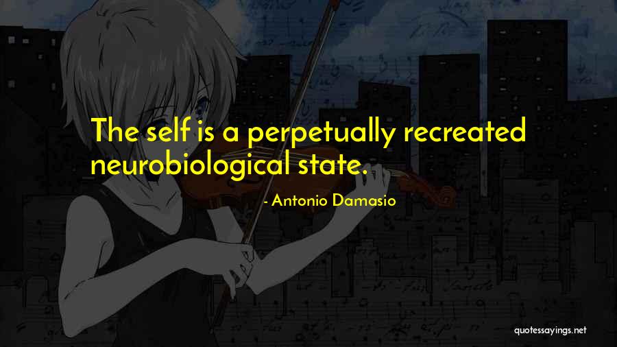 Neurobiological Quotes By Antonio Damasio Neurobiological Quotes By Antonio Damasio