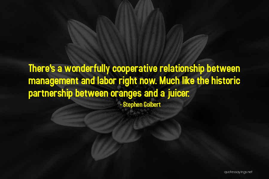 Neurocircuitry Of Ptsd Quotes By Stephen Colbert Neurocircuitry Of Ptsd Quotes By Stephen Colbert