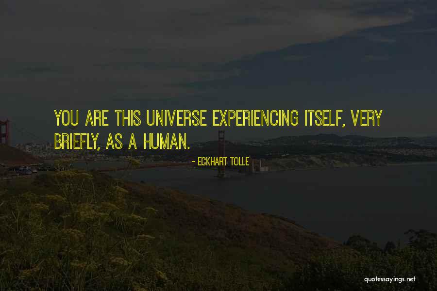 Neuroeconomics Pay Quotes By Eckhart Tolle Neuroeconomics Pay Quotes By Eckhart Tolle