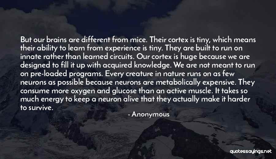 Neuron Quotes By Anonymous