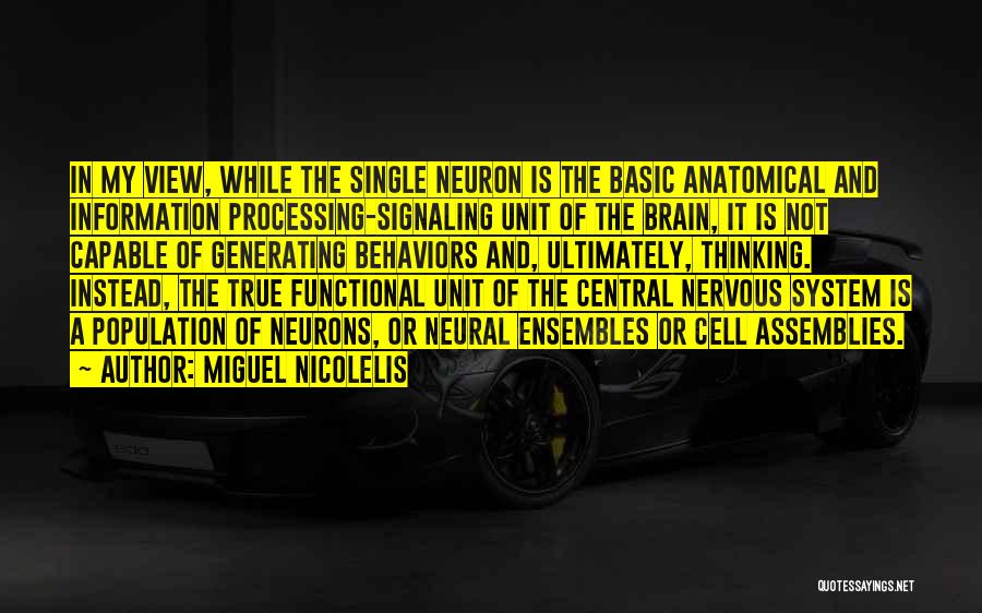 Neuron Quotes By Miguel Nicolelis