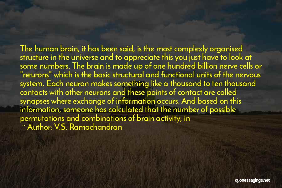 Neuron Quotes By V.S. Ramachandran