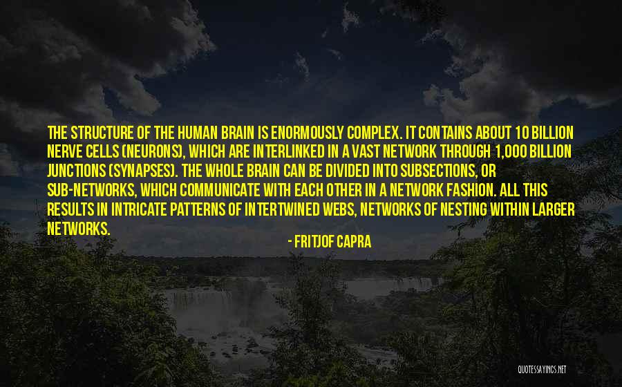 Neurons And Synapses Quotes By Fritjof Capra Neurons And Synapses Quotes By Fritjof Capra