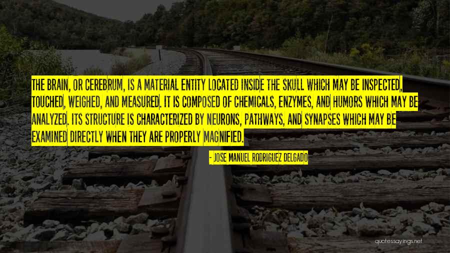 Neurons And Synapses Quotes By Jose Manuel Rodriguez Delgado Neurons And Synapses Quotes By Jose Manuel Rodriguez Delgado