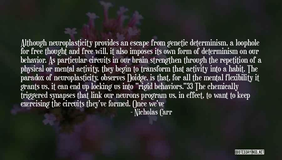 Neurons And Synapses Quotes By Nicholas Carr Neurons And Synapses Quotes By Nicholas Carr