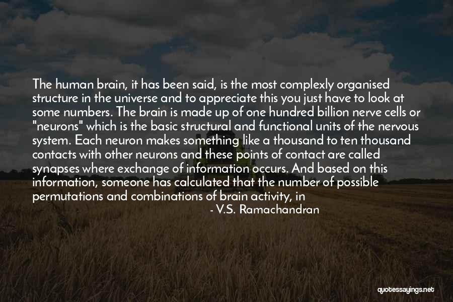 Neurons And Synapses Quotes By V.S. Ramachandran Neurons And Synapses Quotes By V.S. Ramachandran