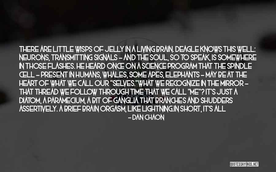 Neurons In The Brain Quotes By Dan Chaon Neurons In The Brain Quotes By Dan Chaon