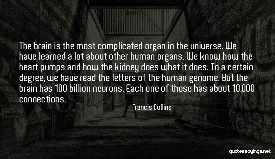 Neurons In The Brain Quotes By Francis Collins Neurons In The Brain Quotes By Francis Collins