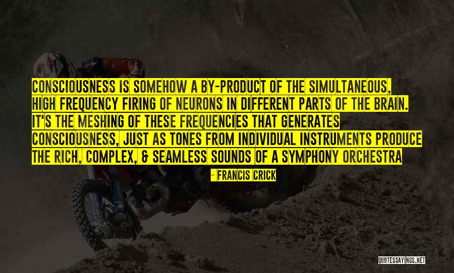 Neurons In The Brain Quotes By Francis Crick Neurons In The Brain Quotes By Francis Crick