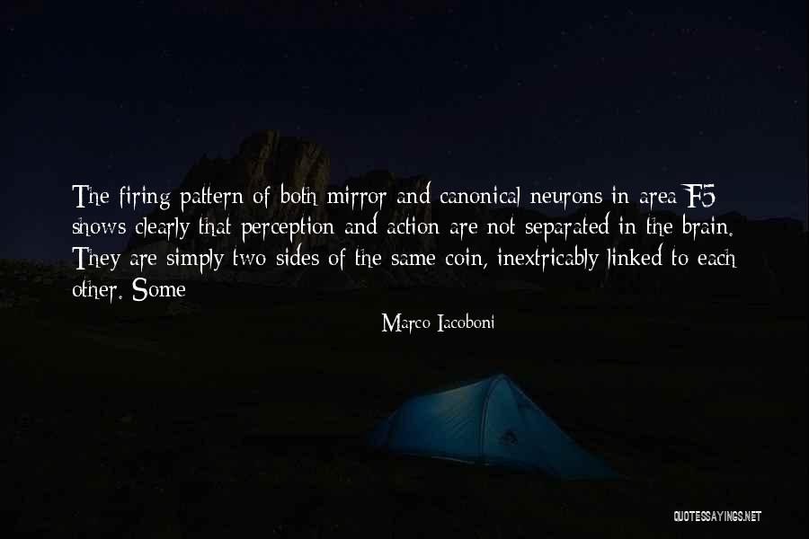 Neurons In The Brain Quotes By Marco Iacoboni Neurons In The Brain Quotes By Marco Iacoboni