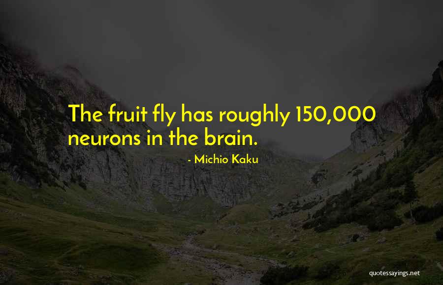 Neurons In The Brain Quotes By Michio Kaku Neurons In The Brain Quotes By Michio Kaku