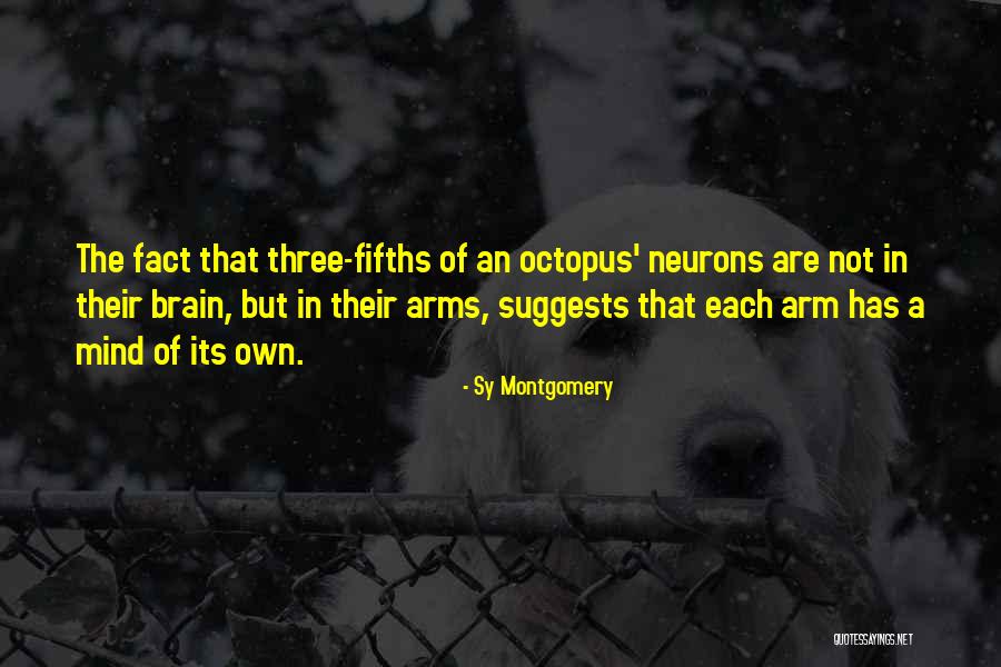 Neurons In The Brain Quotes By Sy Montgomery Neurons In The Brain Quotes By Sy Montgomery