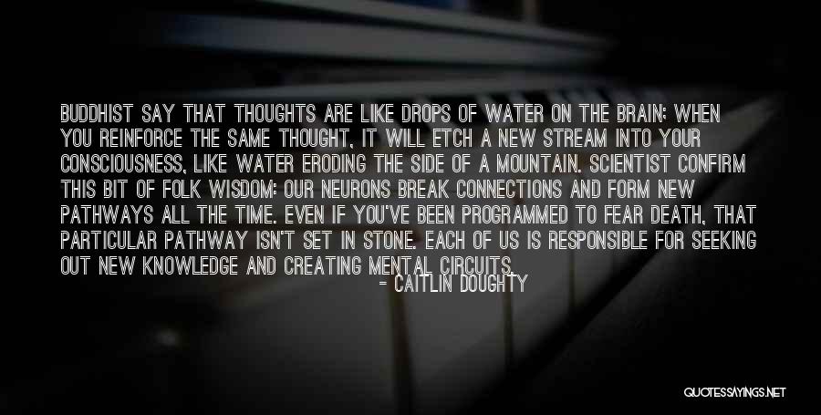 Neurons Quotes By Caitlin Doughty Neurons Quotes By Caitlin Doughty