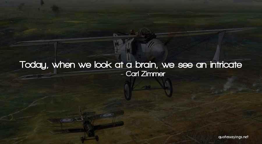 Neurons Quotes By Carl Zimmer Neurons Quotes By Carl Zimmer