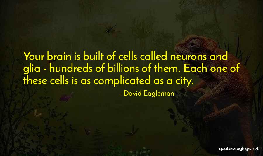 Neurons Quotes By David Eagleman Neurons Quotes By David Eagleman