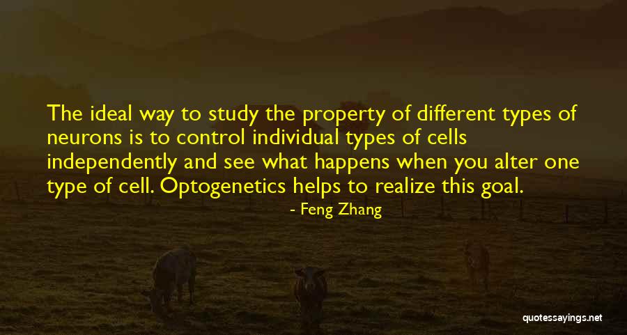 Neurons Quotes By Feng Zhang Neurons Quotes By Feng Zhang