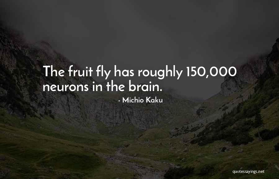 Neurons Quotes By Michio Kaku Neurons Quotes By Michio Kaku
