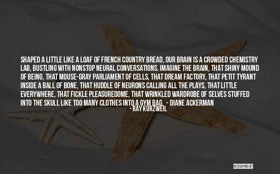 Neurons Quotes By Ray Kurzweil Neurons Quotes By Ray Kurzweil