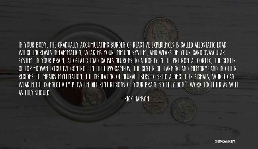 Neurons Quotes By Rick Hanson Neurons Quotes By Rick Hanson