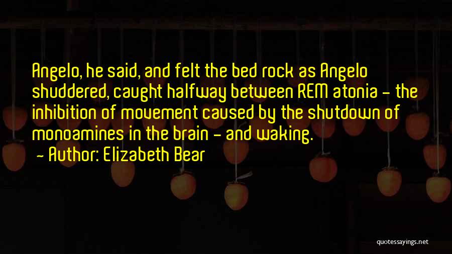 Neuroscience Quotes By Elizabeth Bear