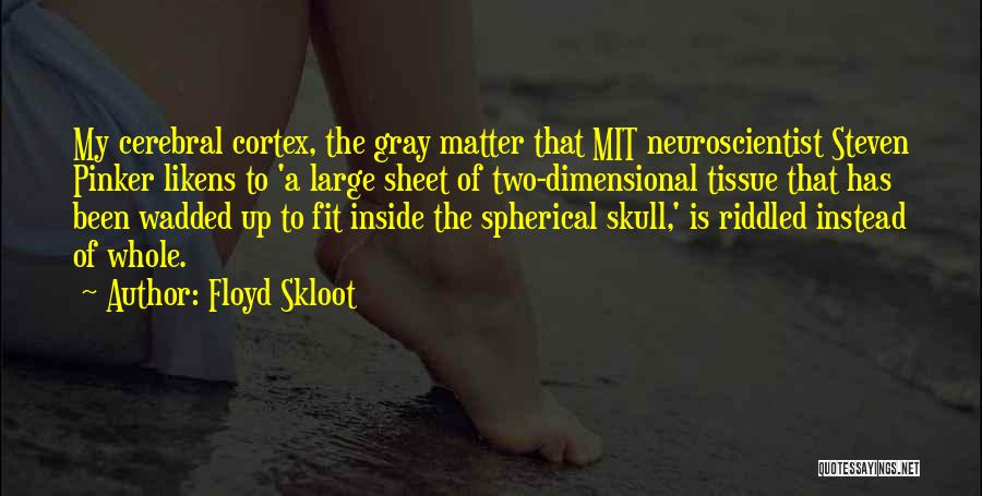 Neuroscientist Quotes By Floyd Skloot