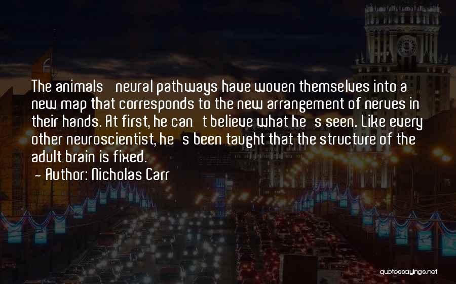 Neuroscientist Quotes By Nicholas Carr