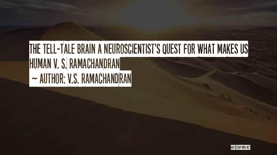 Neuroscientist Quotes By V.S. Ramachandran