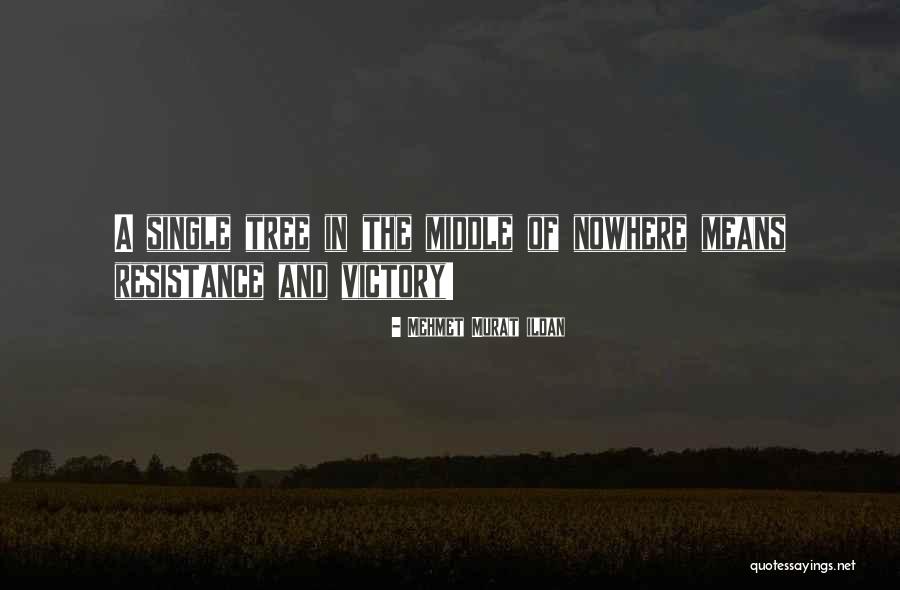 Neurosurgery And Spine Quotes By Mehmet Murat Ildan Neurosurgery And Spine Quotes By Mehmet Murat Ildan