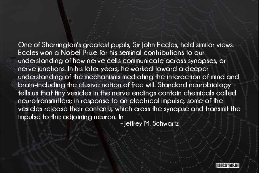 Neurotransmitters In The Brain Quotes By Jeffrey M. Schwartz Neurotransmitters In The Brain Quotes By Jeffrey M. Schwartz