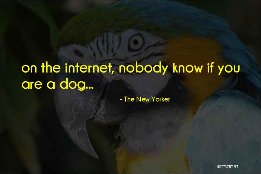 Neustrom Associates Quotes By The New Yorker Neustrom Associates Quotes By The New Yorker