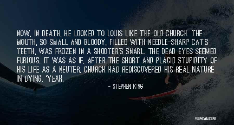 Neuter Cat Quotes By Stephen King Neuter Cat Quotes By Stephen King