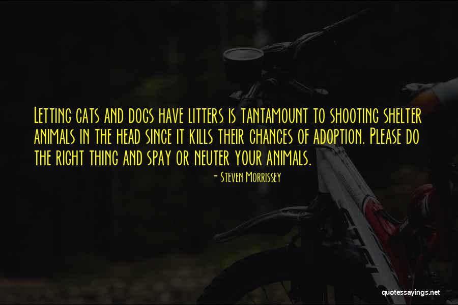 Neuter Cat Quotes By Steven Morrissey Neuter Cat Quotes By Steven Morrissey