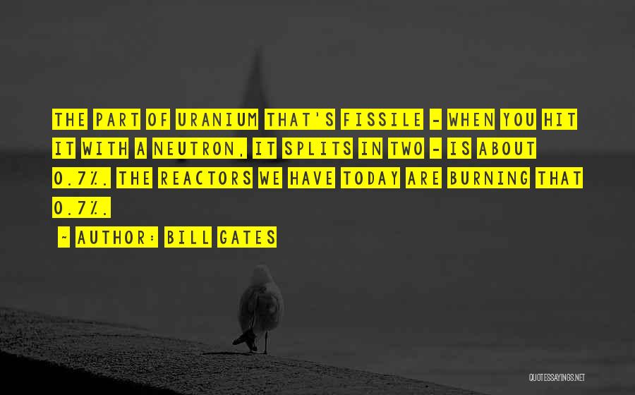 Neutron Quotes By Bill Gates