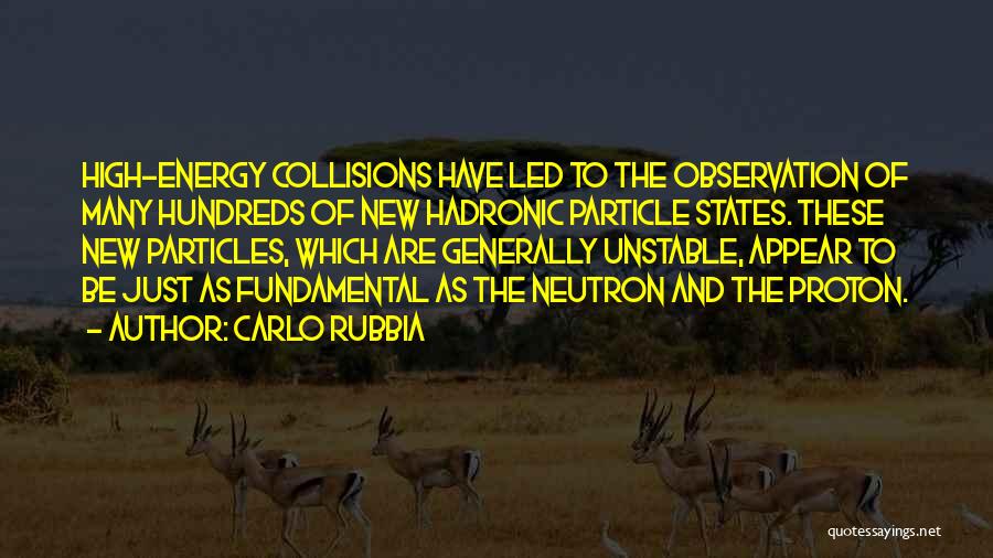 Neutron Quotes By Carlo Rubbia
