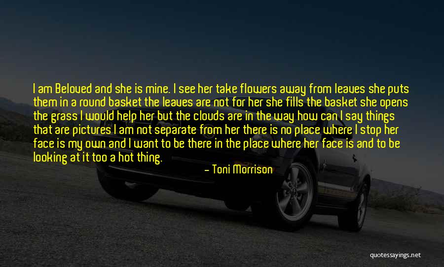 Nevah Quotes By Toni Morrison Nevah Quotes By Toni Morrison