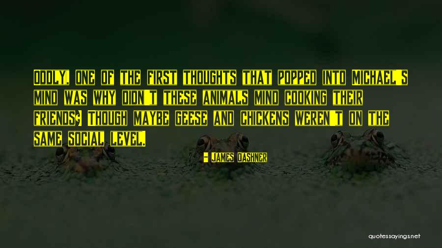 Nevala Food Quotes By James Dashner Nevala Food Quotes By James Dashner