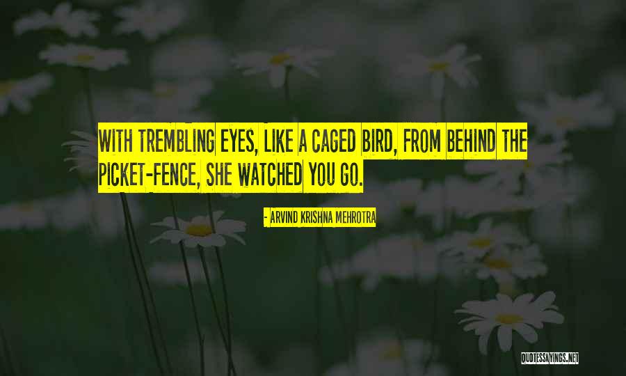 Nevas Quotes By Arvind Krishna Mehrotra Nevas Quotes By Arvind Krishna Mehrotra