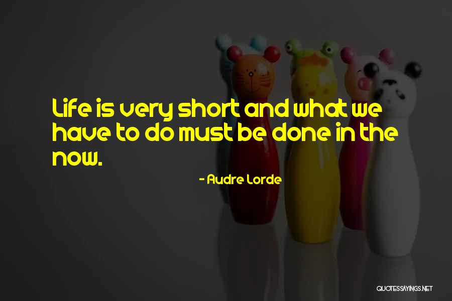 Nevasta Stress Quotes By Audre Lorde Nevasta Stress Quotes By Audre Lorde