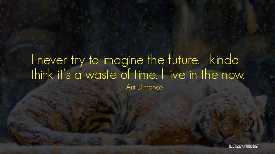 Never A Waste Of Time Quotes By Ani DiFranco Never A Waste Of Time Quotes By Ani DiFranco