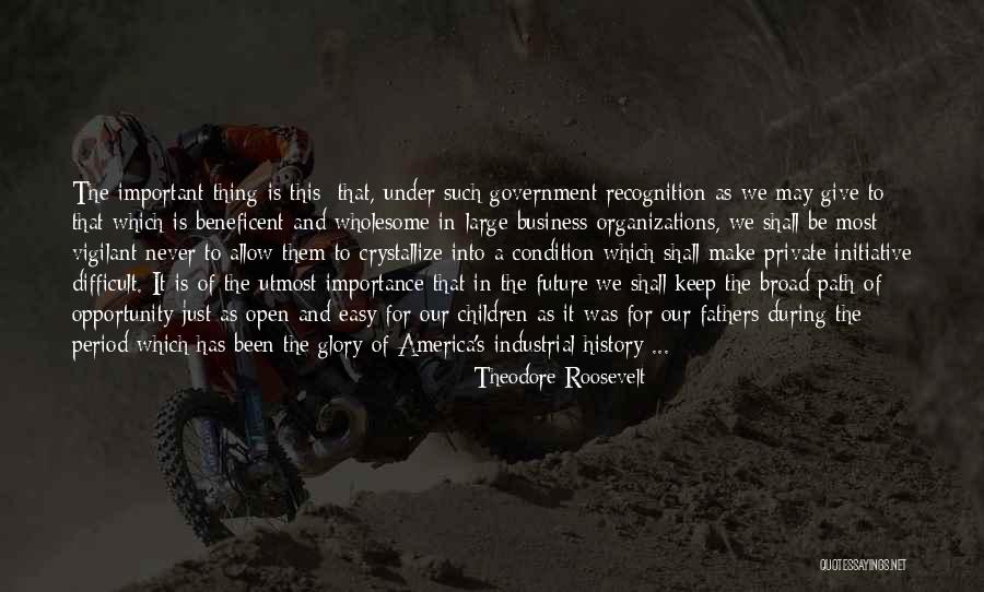 Never Allow Quotes By Theodore Roosevelt