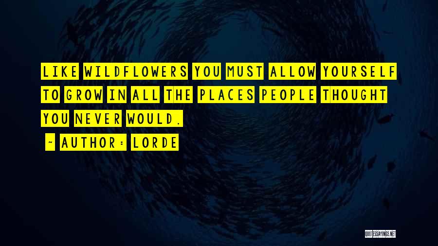 Never Allow Yourself Quotes By Lorde