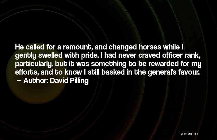 Never Appreciated Quotes By David Pilling