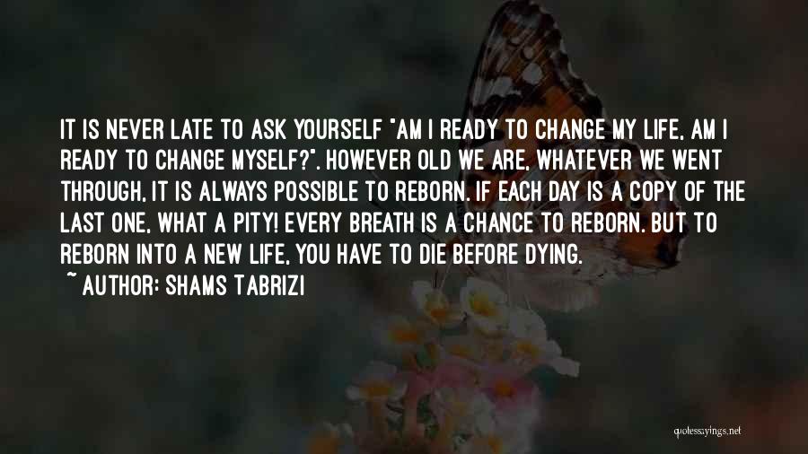 Never Ask Someone To Change Quotes By Shams Tabrizi