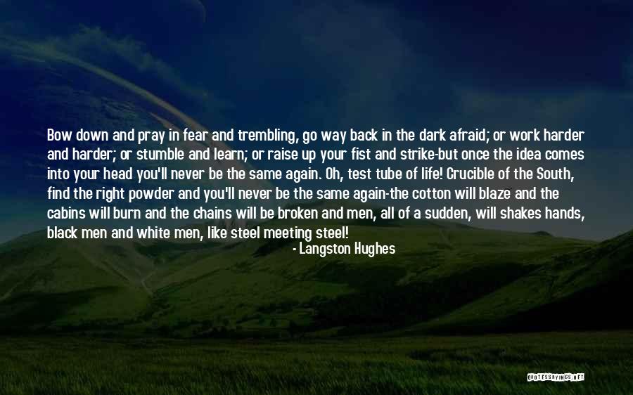 Never Back Down Quotes By Langston Hughes Never Back Down Quotes By Langston Hughes
