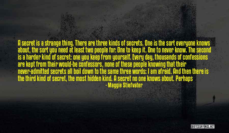 Never Be Afraid Quotes By Maggie Stiefvater