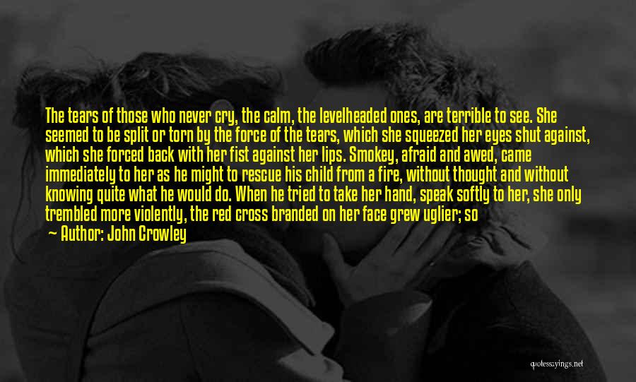 Never Be Afraid To Cry Quotes By John Crowley